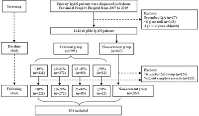 The Significance of Crescents on the Clinical Features and Outcomes of Primary Immunoglobin A Nephropathy